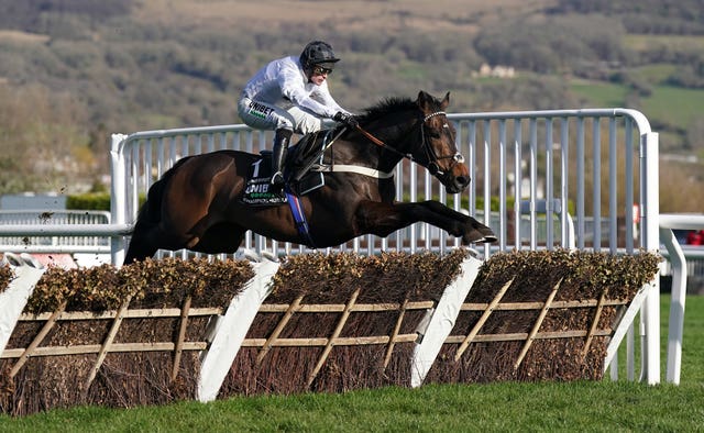 Constitution Hill took off a stride too soon over the last in the Champion Hurdle