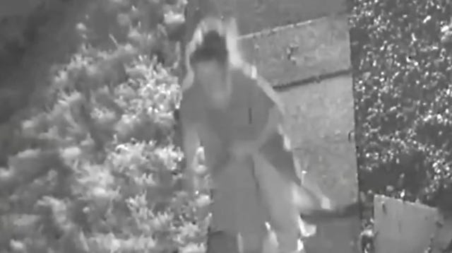 Kirsty Carless court case