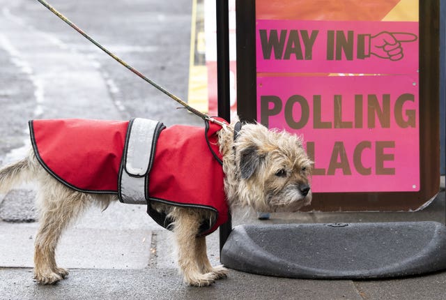 Bertie waits for its owner at the polling station at Saint Stephen’s Comely Bank Church in Scotland 