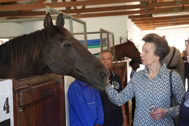 The Princess Royal strokes a horse in the stables during a visit to the South African Riding School for Disabled Association