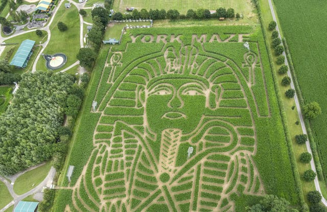 York Maze