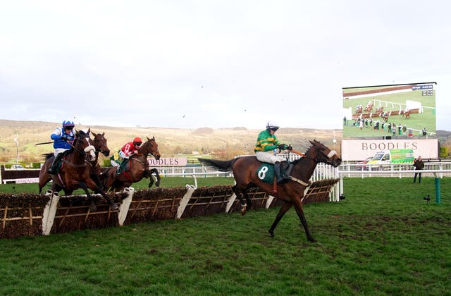 Iroko leads the way at Cheltenham 