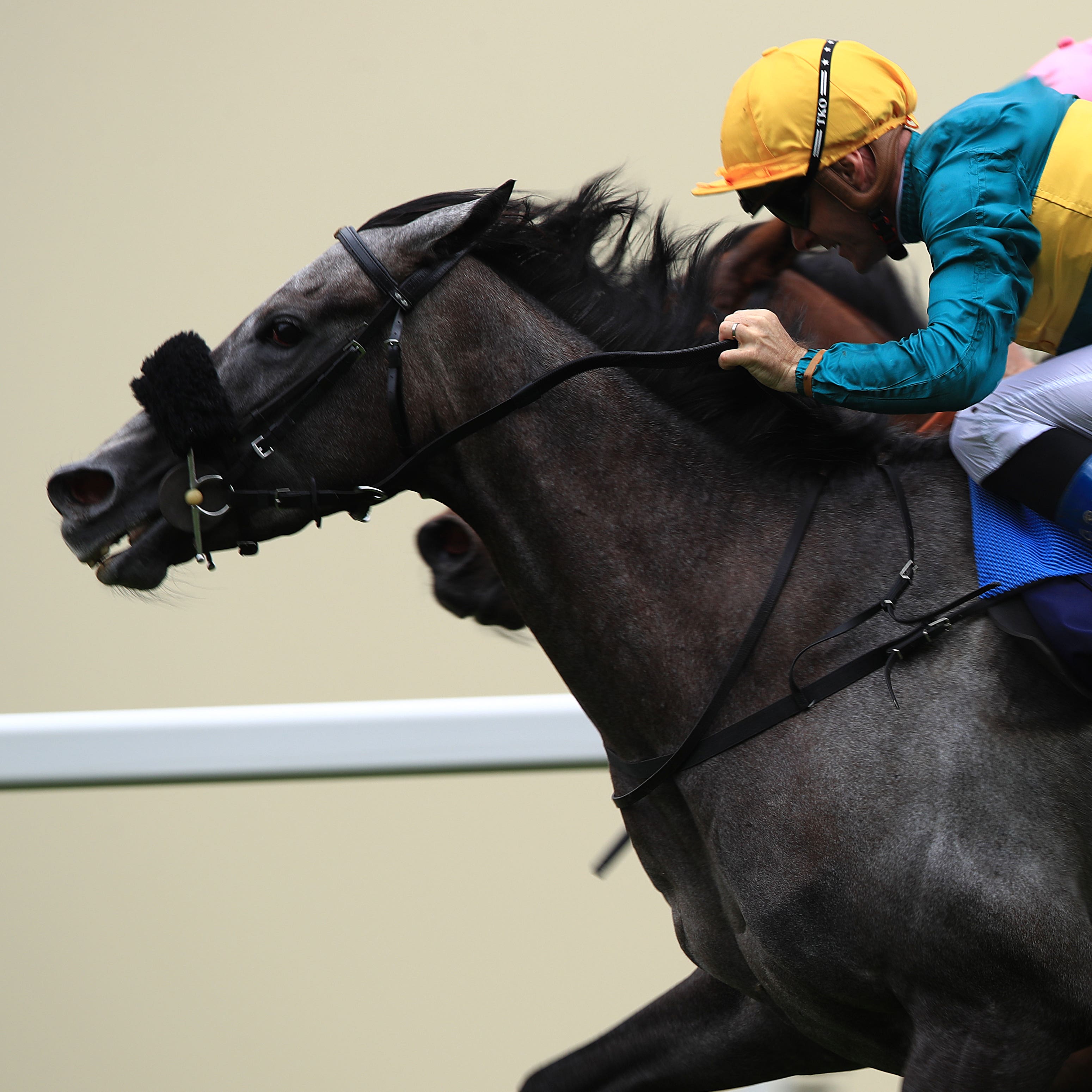 Coronet pips Mori in the Ribblesdale at Royal Ascot (John Walton/PA)