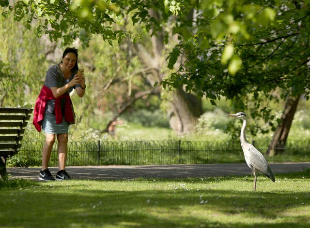 A woman takes a photo of the wildlife in Regent’s Park, London (Yui Mok/PA)