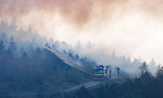 Newry wildfire