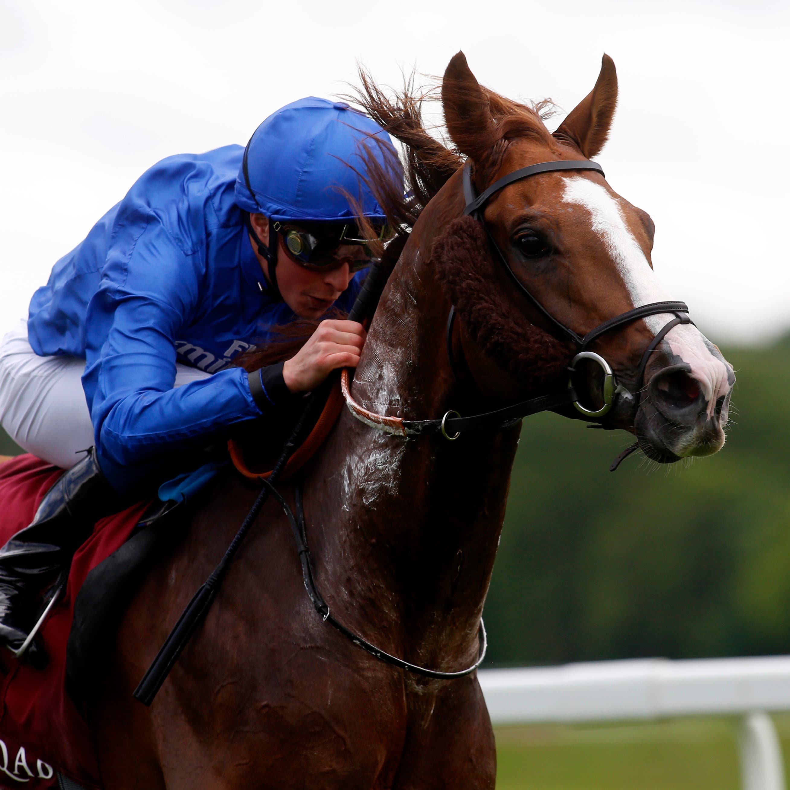 Hawkbill on his way to winning at Newbury last season