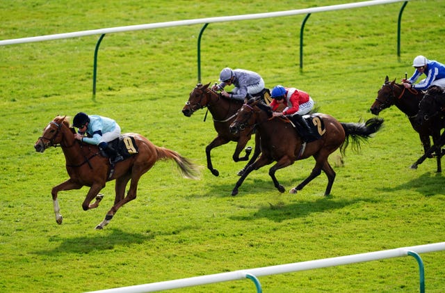 Midnight Affair (second left) ran a fine race on her debut at Newmarket 