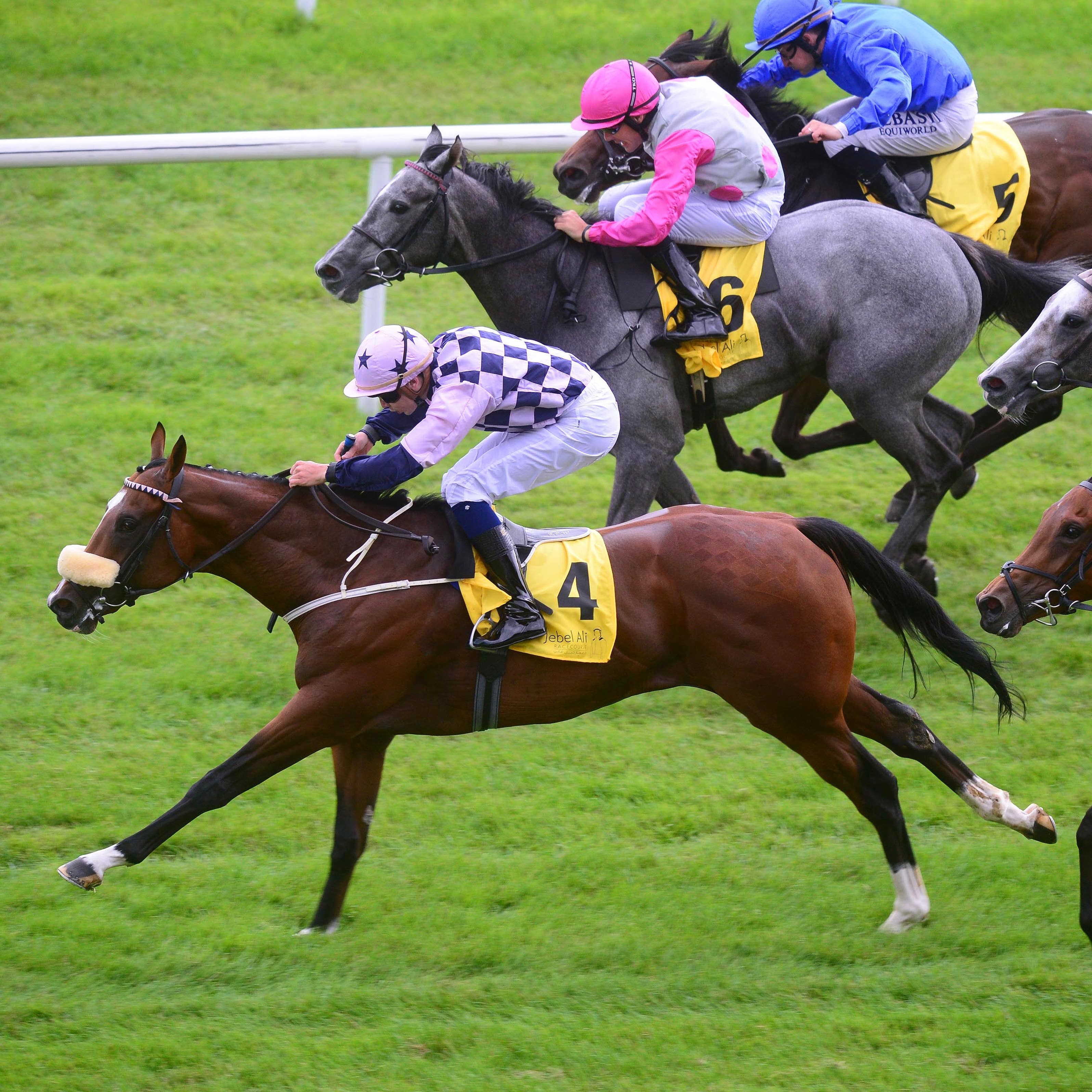 Roman Turbo landed the Angelsey Stakes