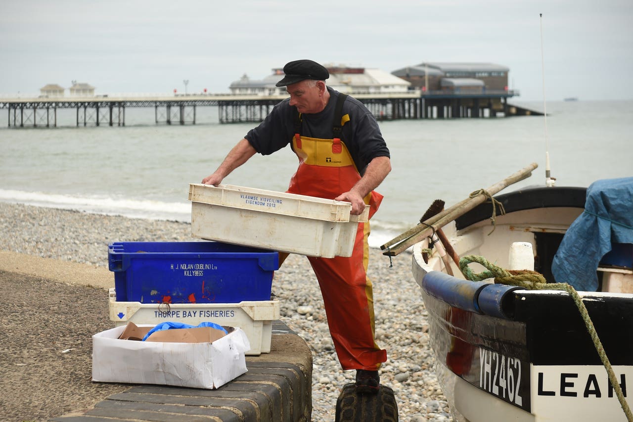 Shortage of crab fishermen in Cromer ‘a real concern’ Bradford