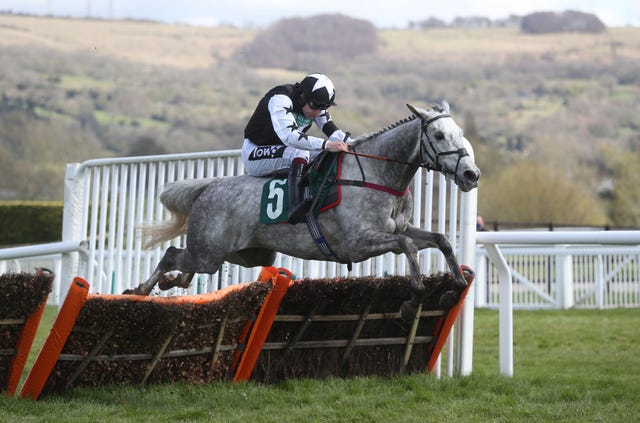 Martello Sky in action at Cheltenham