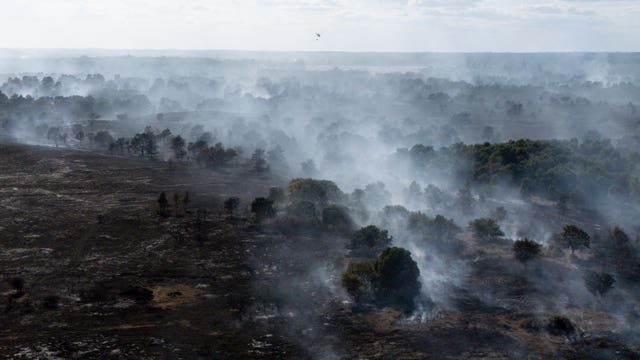Suffolk coast wildfire