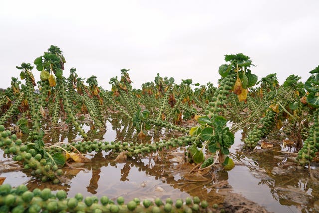 Farming conditions