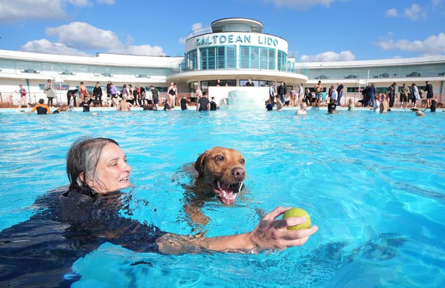 Dogtember at Saltdean Lido