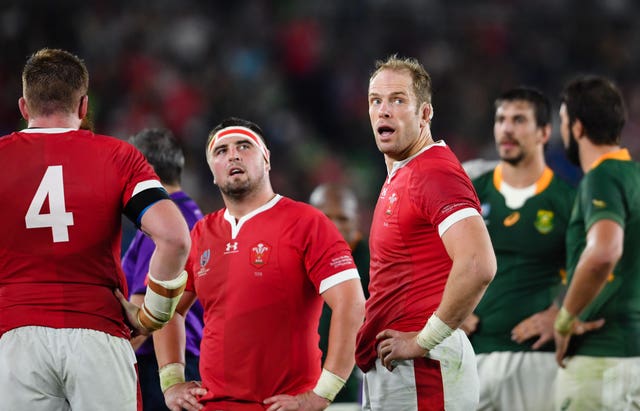 Wales were toppled by South Africa in the 2019 World Cup semi-finals
