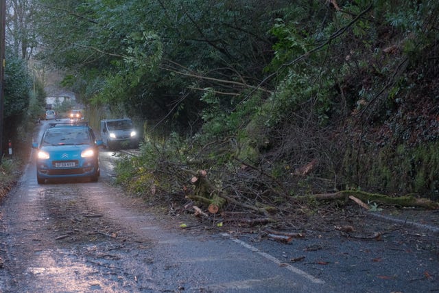 Fallen trees partially block a road in St Austell, Cornwall