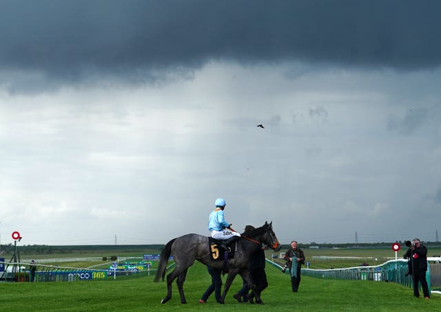 Sean Levy and Shouldvebeenaring at Newmarket