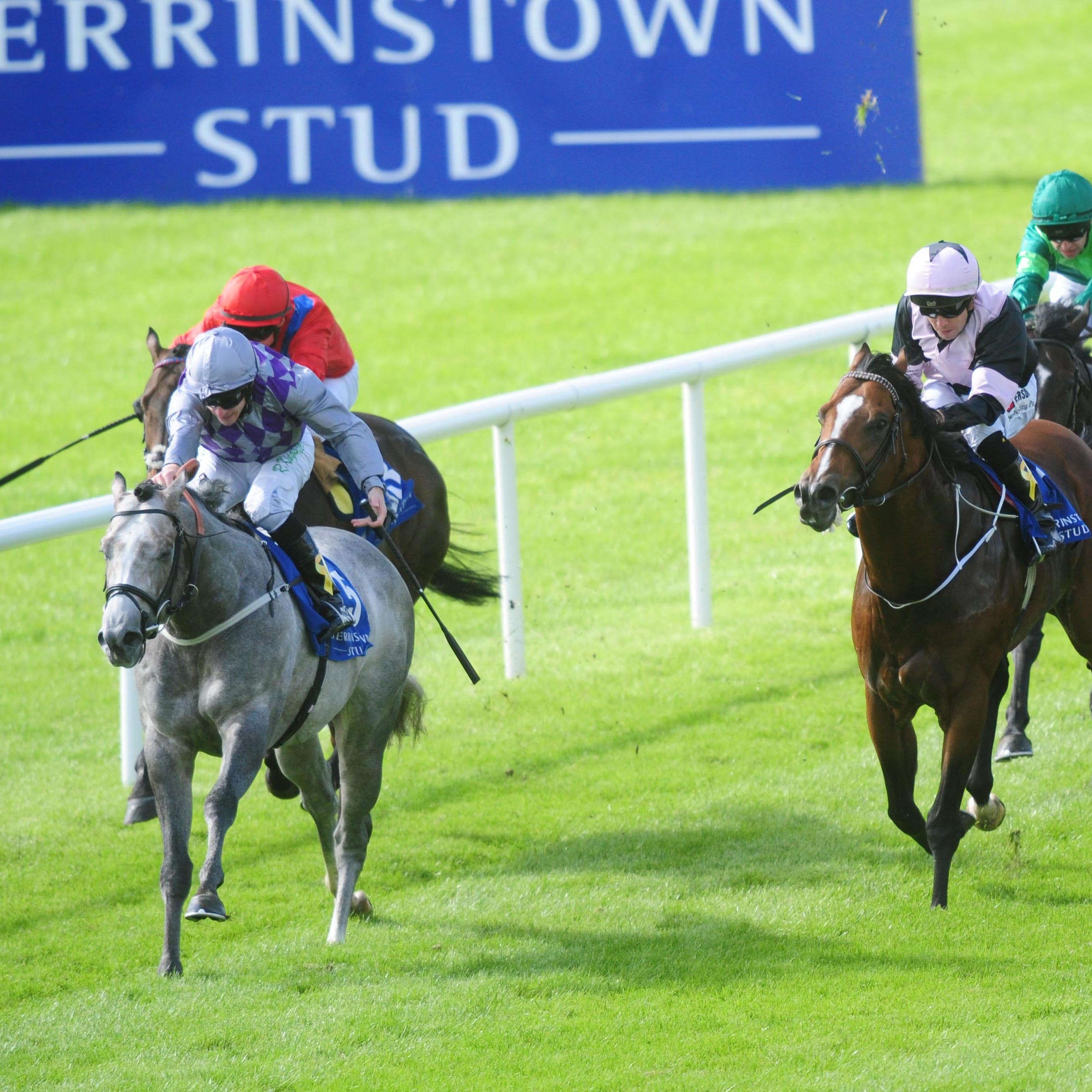 Havana Grey wins the Flying Five at the Curragh
