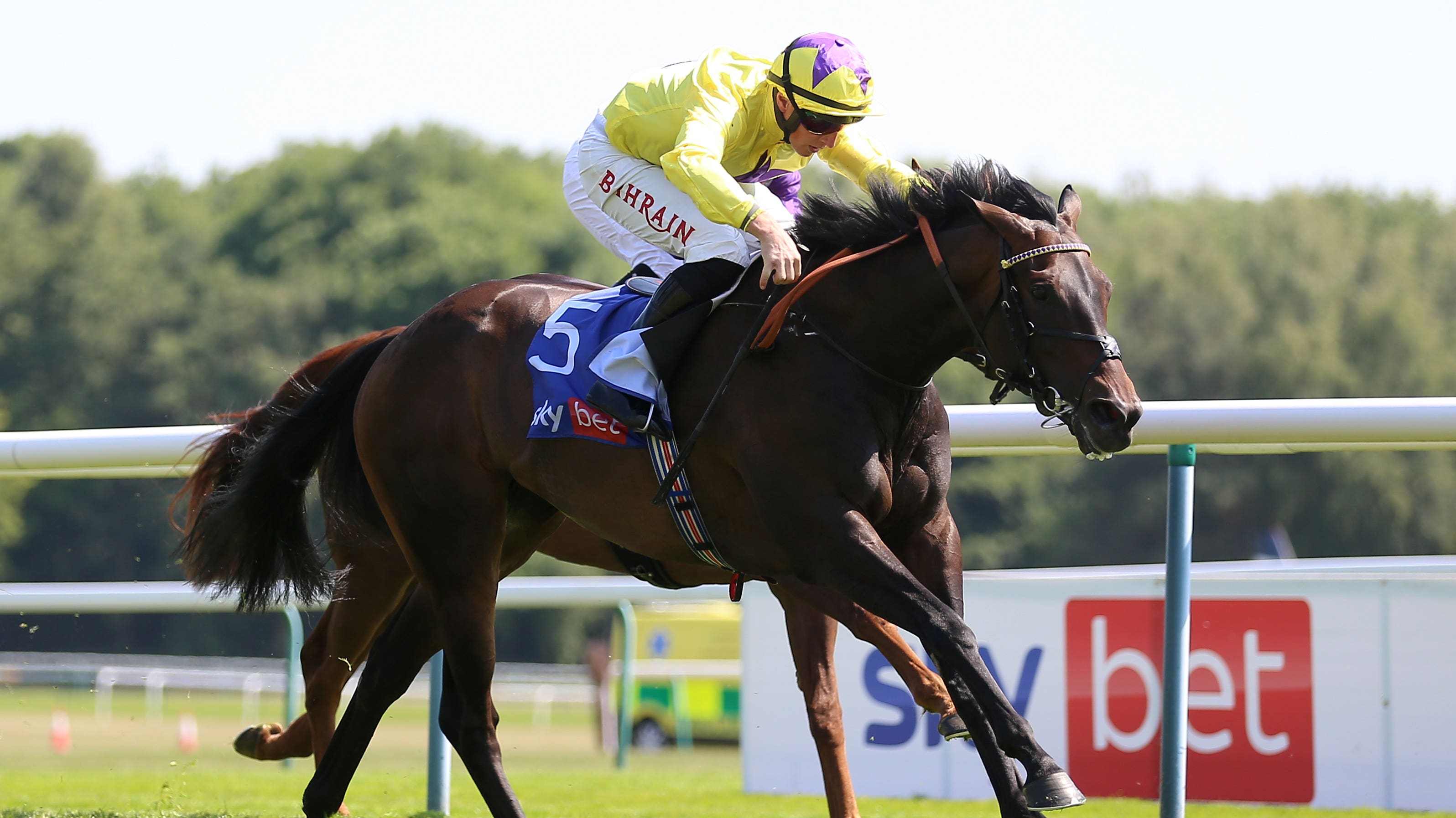 Haydock Saturday preview: read what connections have to say