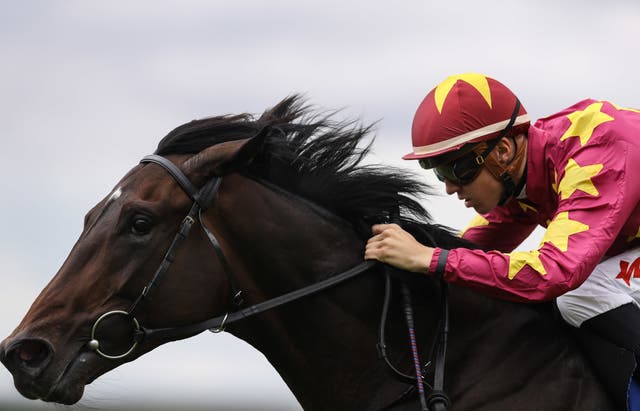 Al Riffa at the Curragh 