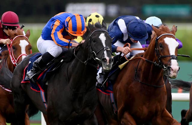 Economics (right) battles to victory against Auguste Rodin at Leopardstown 