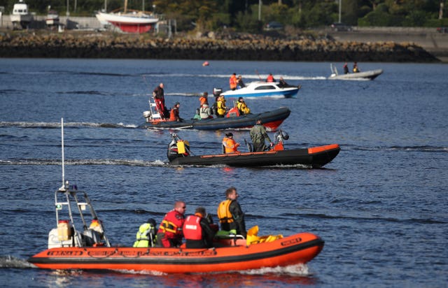 Bottlenose whales in the Clyde