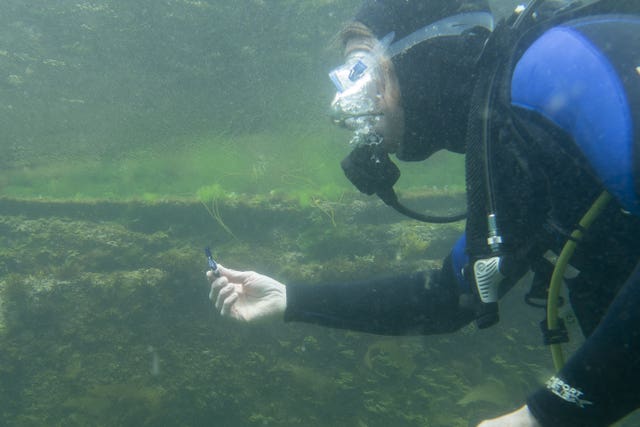 A diver removing a vape from the Cornish seabed