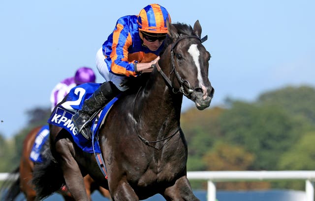 Auguste Rodin winning the KPMG Champions Juvenile Stakes