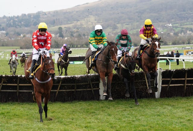 Scriptwriter (left) jumping a final hurdle at Cheltenham on Festival Trials Day 