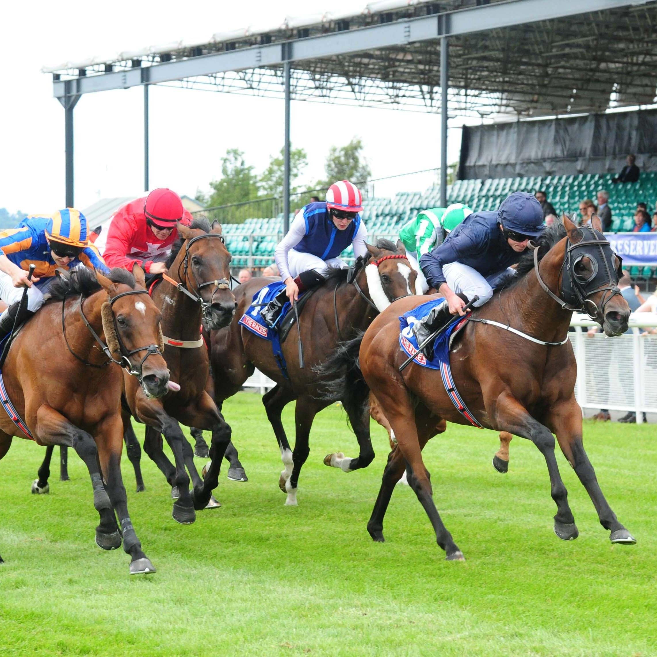 Action at the Curragh (PA)