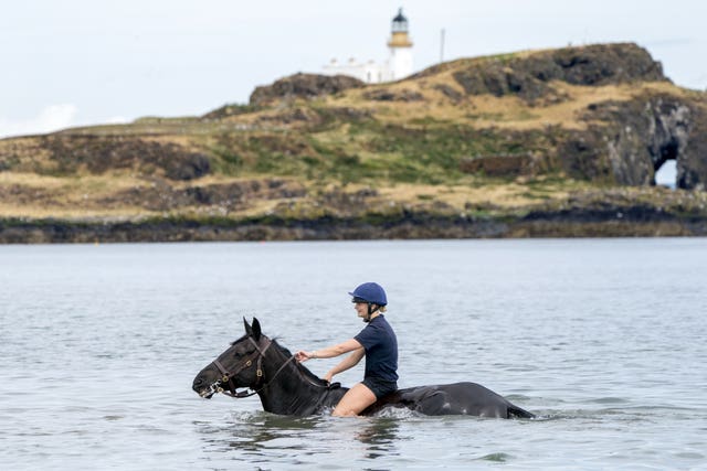 Members of the Household Cavalry, Blues and Royals, exercise their horses along the sands and in the sea at Yellowcraig Beach near North Berwick, East Lothian 