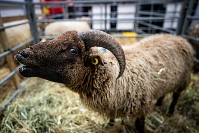 The Cornish Winter Fair