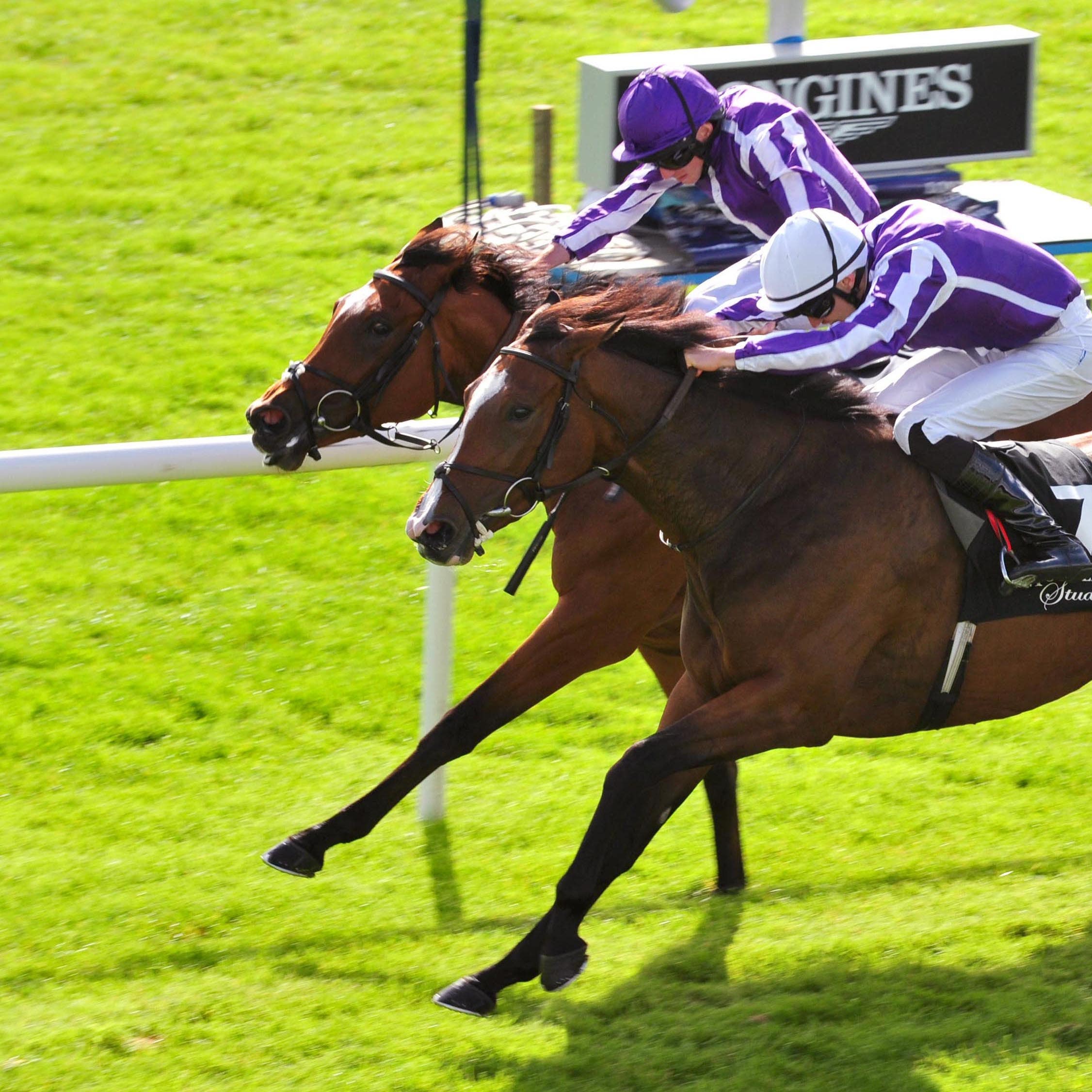Happily (white cap) gets up to win the Moyglare Stud Stakes at the Curragh