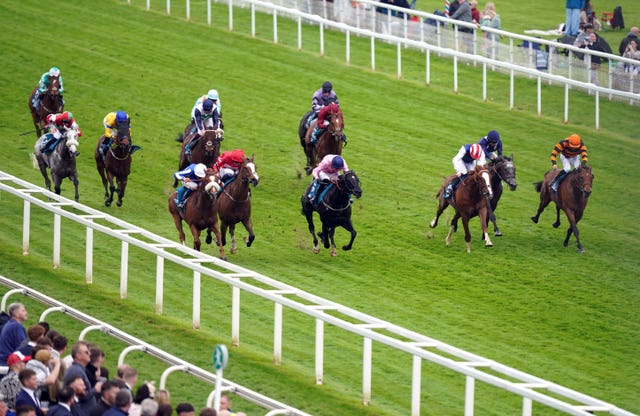 Marhaba The Champ winning at York earlier in the season