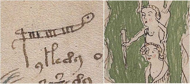 Detail of the Voynich manuscript 