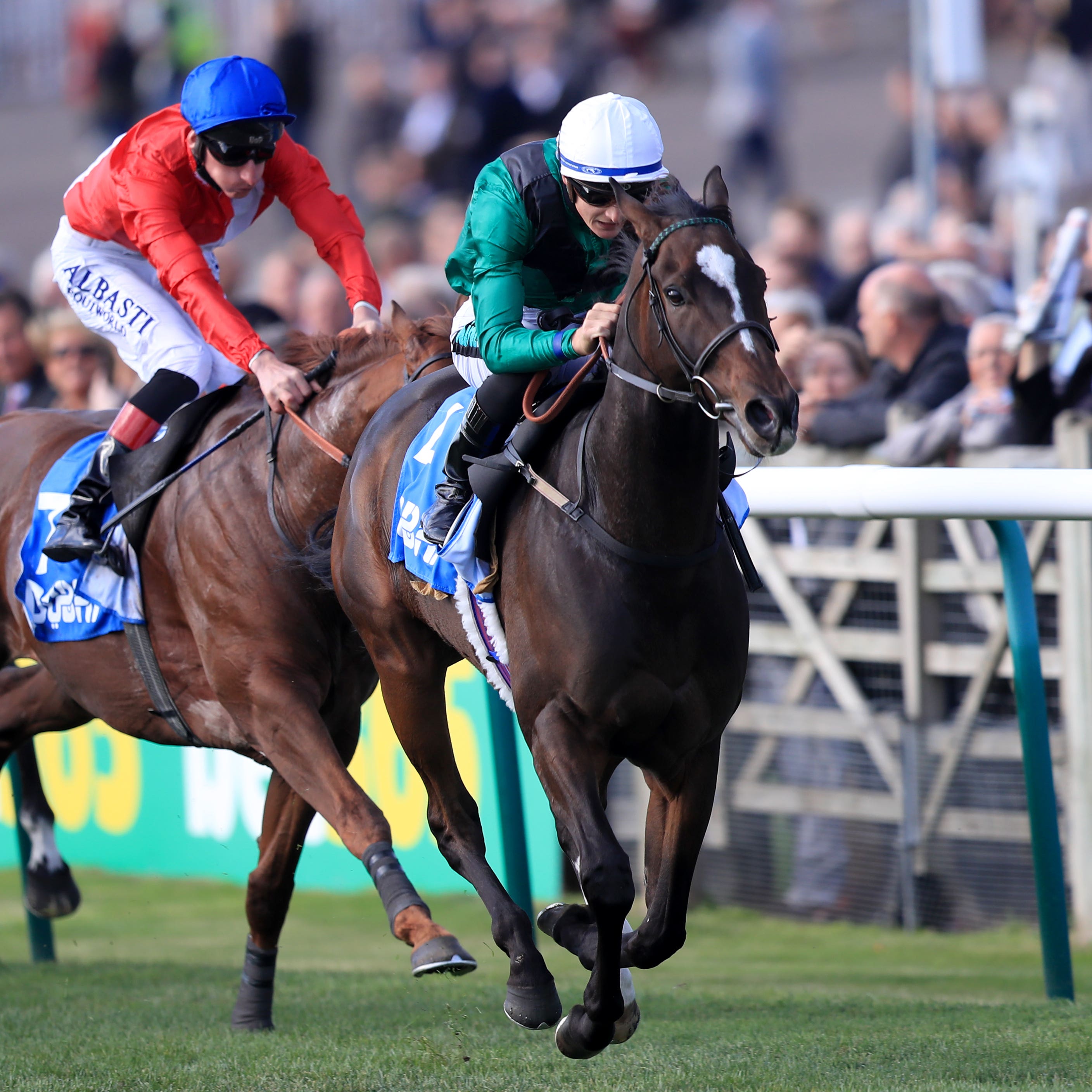 Limato repeated his Challenge Stakes success at Newmarket