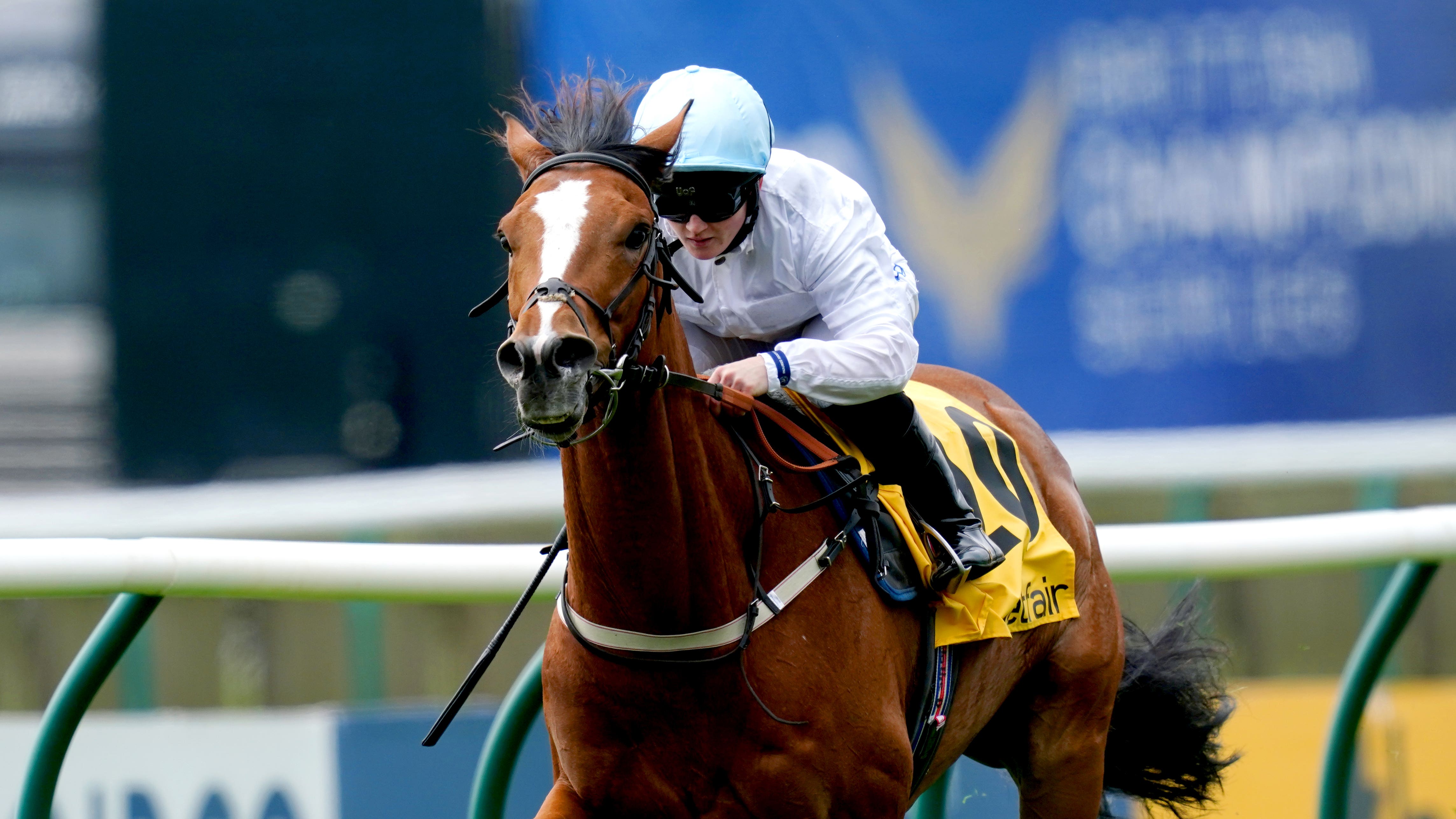 Baker plotting Ebor route for Cemhaan - Vimarsana News