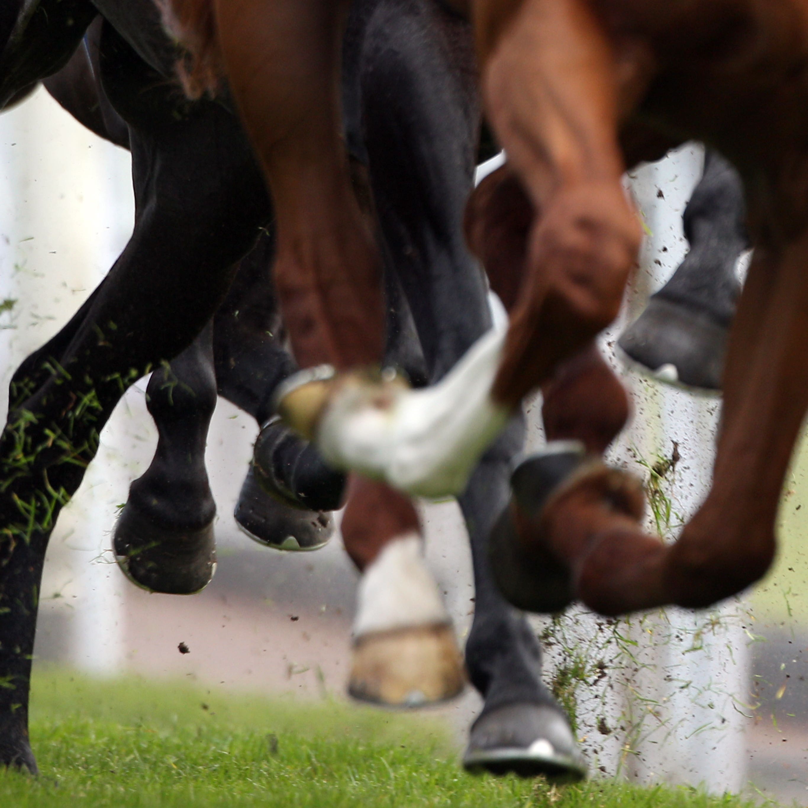 Horse Racing – May Festival – totesport Cup Day – Chester Racecourse