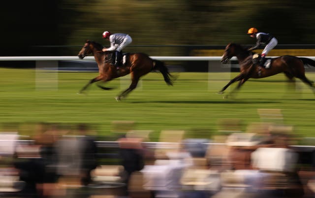 By Starlight ridden by David Probert wins the Cowslip Bank Fillies' Handicap race at Goodwood