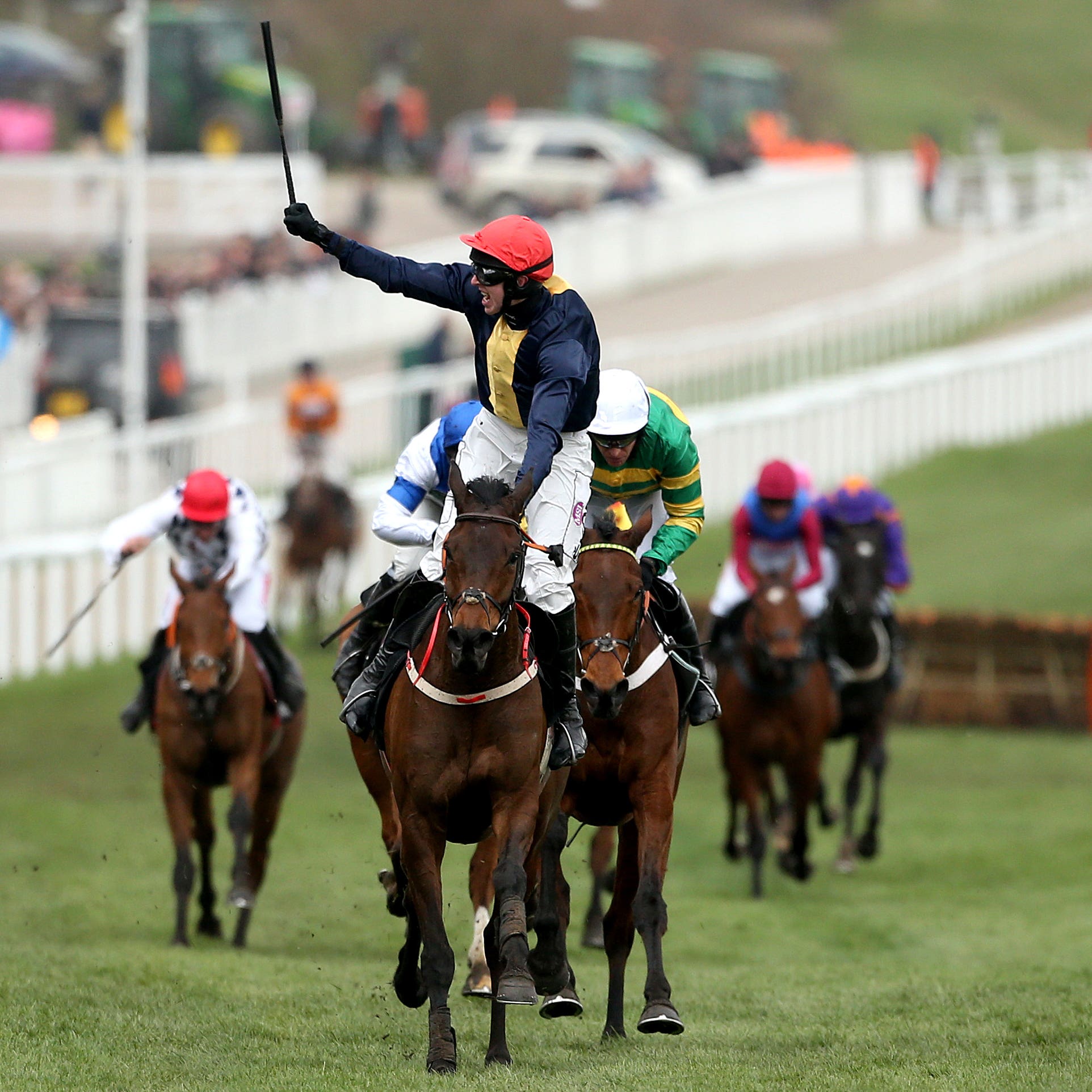 City Island wins the Ballymore Novices' Hurdle at Cheltenham
