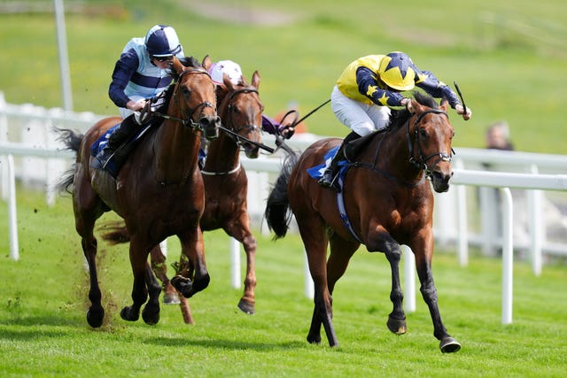 Sea Scout (right) and Trinity College (left) could renew rivalries 