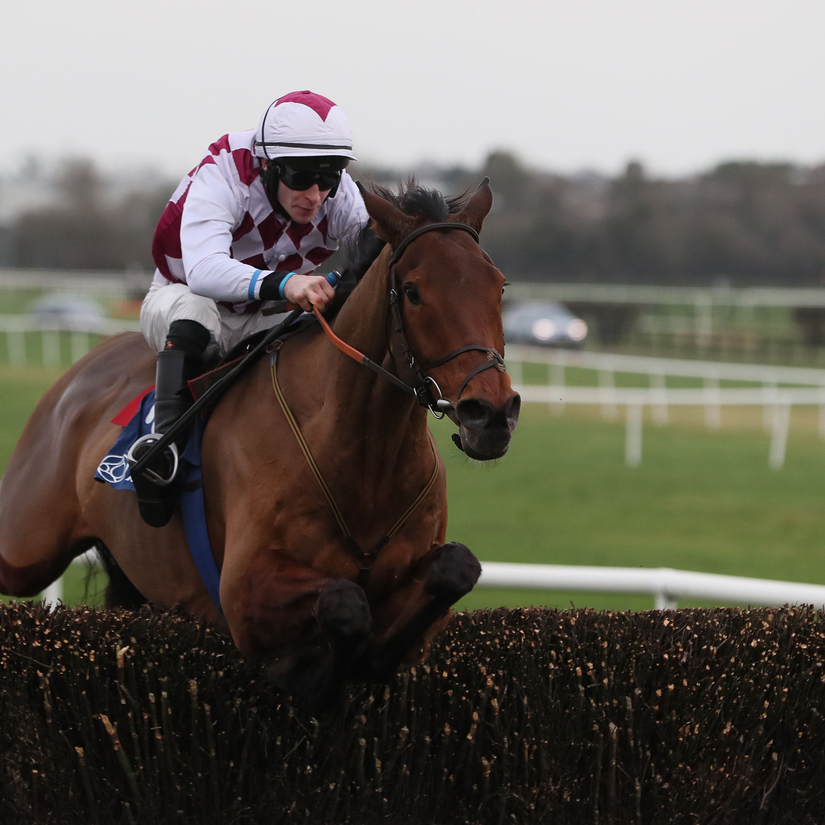 Naas Races