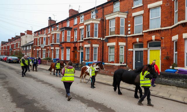 Ponies from Park Palace Ponies in Dingle are walked through the streets of Liverpool to cheer up residents during lockdown (Peter Byrne/PA)