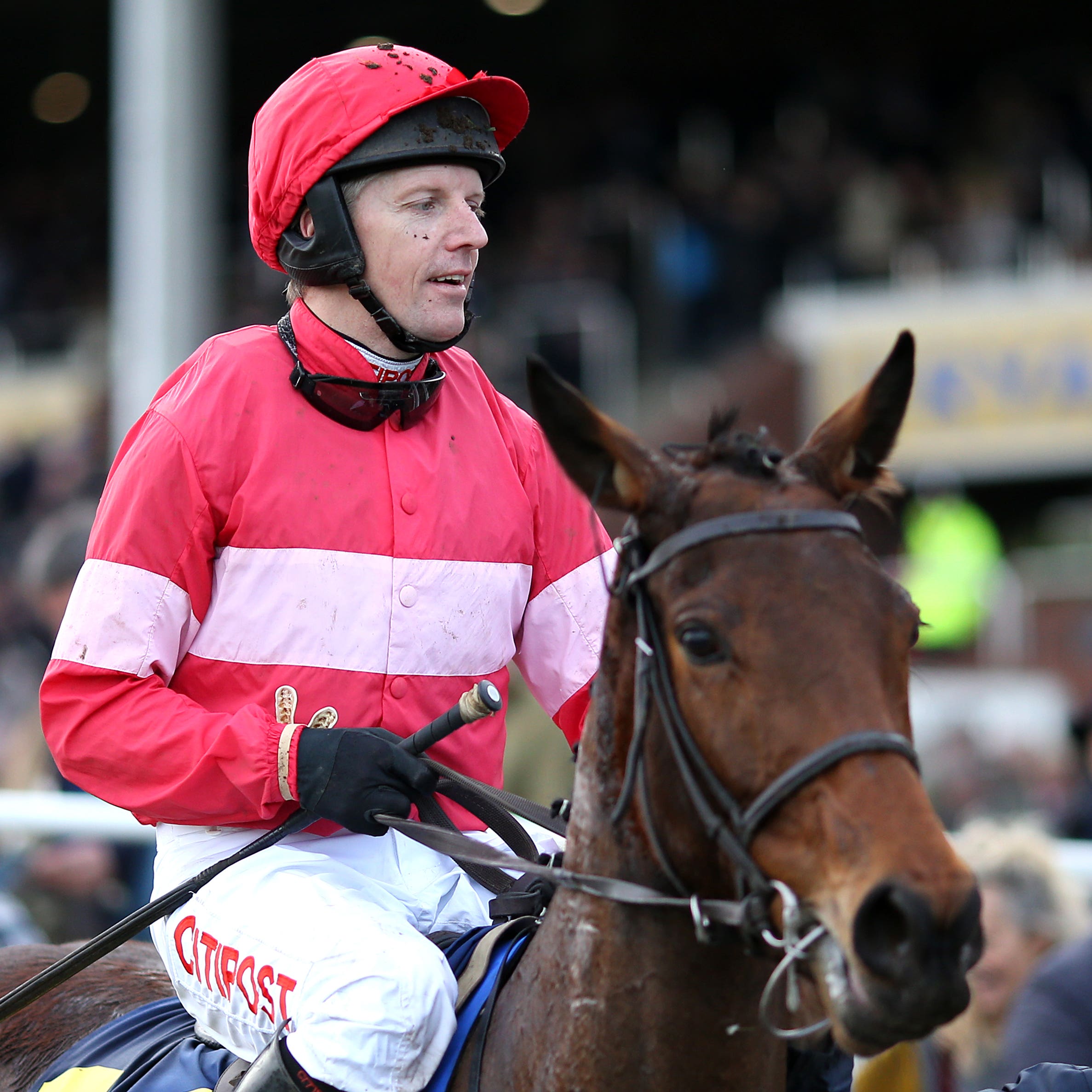 Noel Fehily after winning on Eglantine Du Seuil at Cheltenham