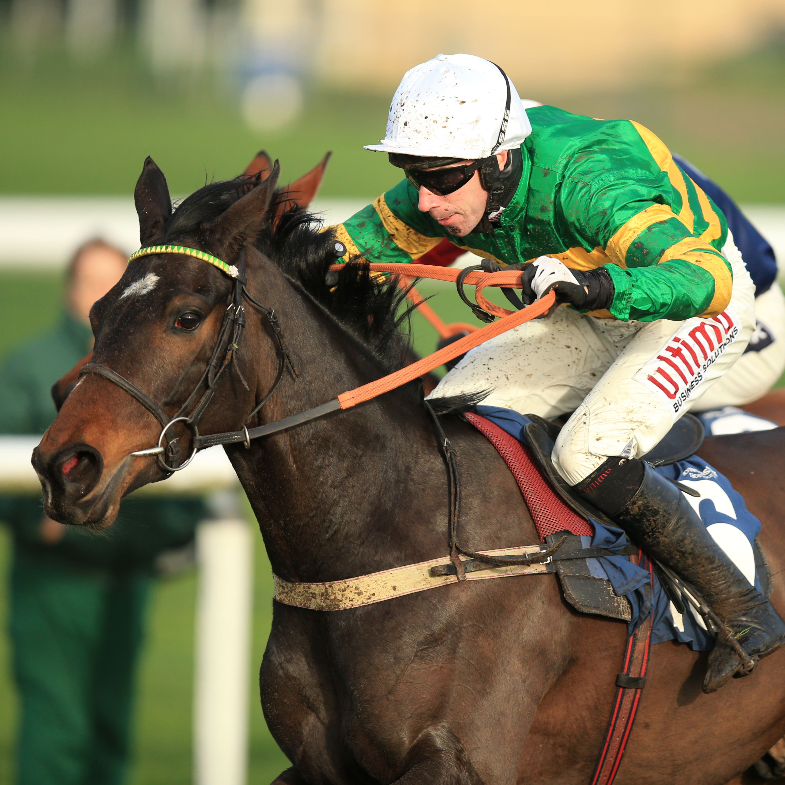 Winter Escape broke a blood vessel at Leopardstown