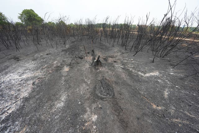 The aftermath of a wildfire on Wanstead Flats in north-east London on August 13 2025 