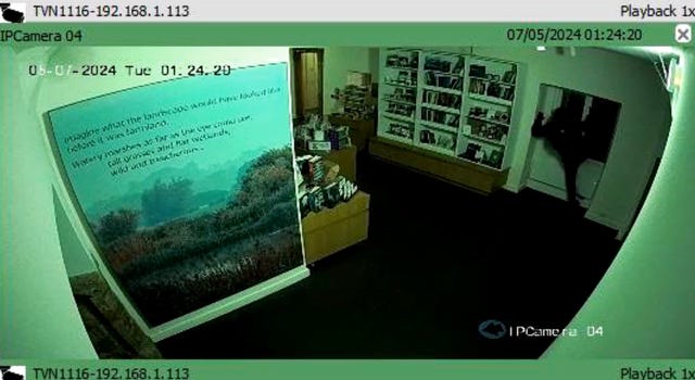 CCTV footage of two people during a robbery at Ely Museum