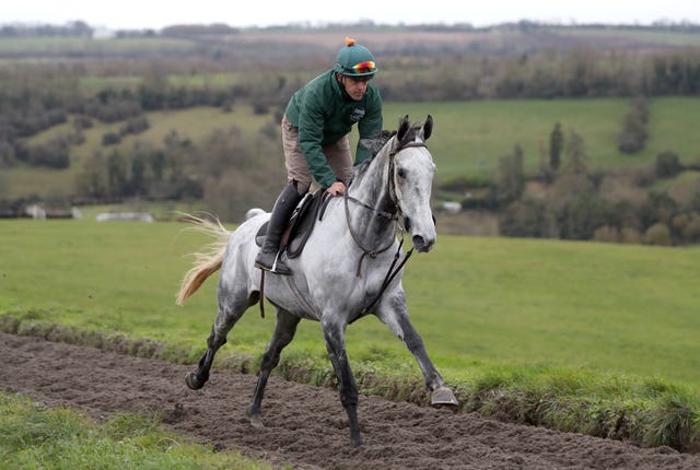 Bristol De Mai on the gallops