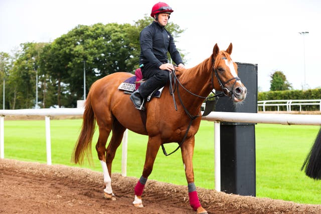 Aidan O’Brien Stable Visit Handout Photo