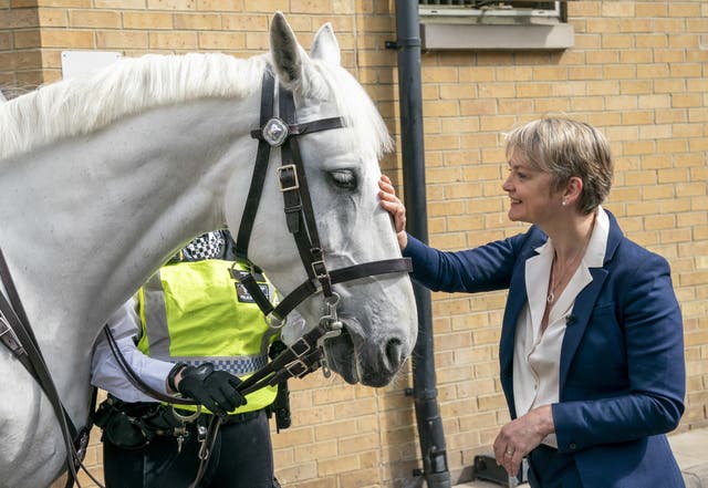 Yvette Cooper stroking a horse