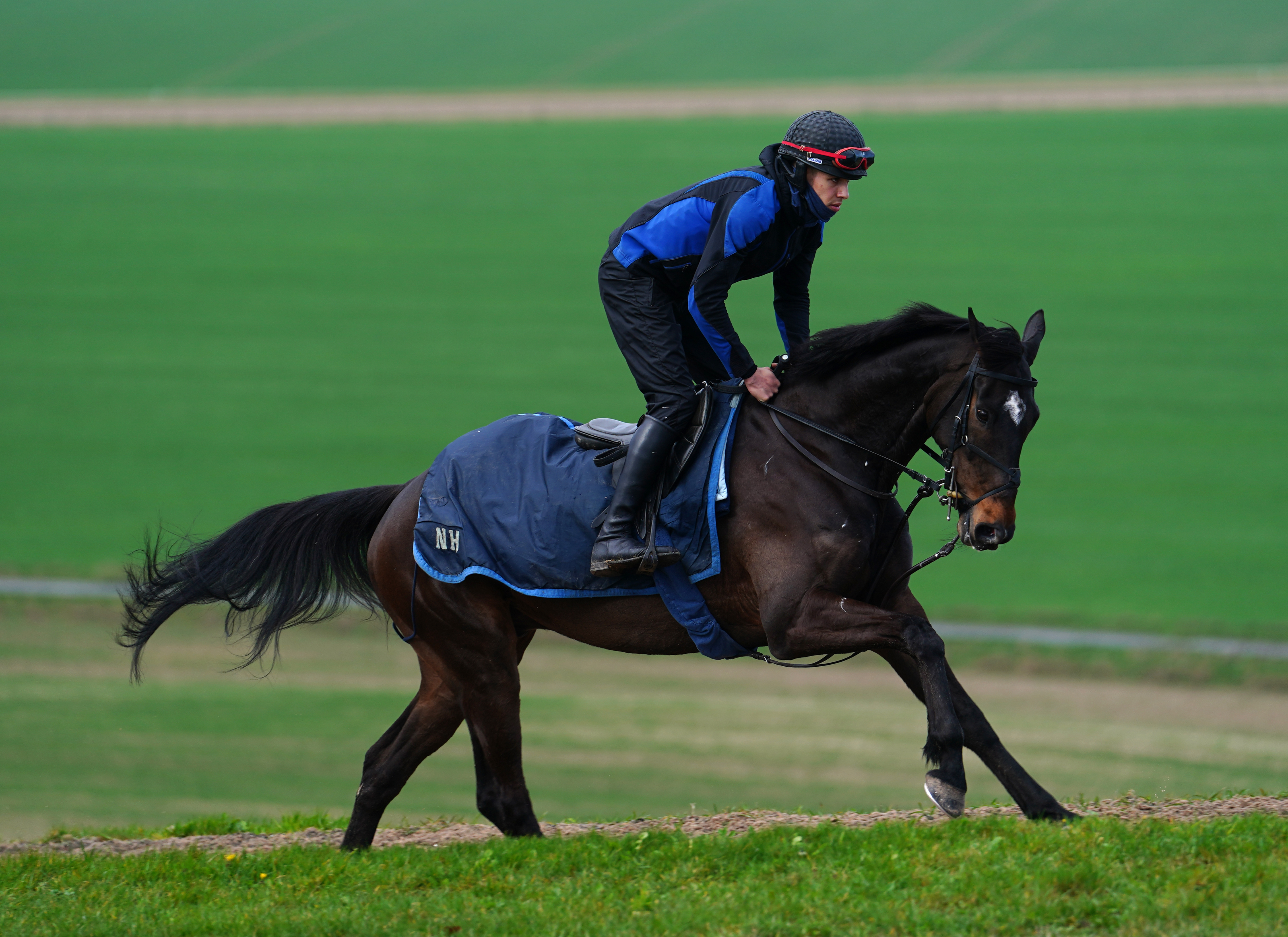 Shishkin will step up to three miles at Aintree